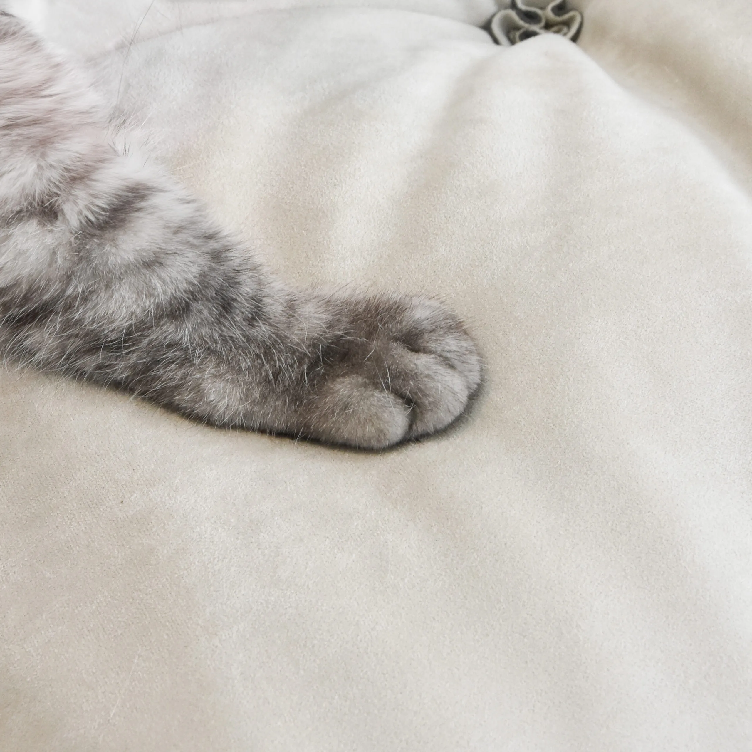 Soffice Pet Friendly Loveseat Sofa Atunus 16