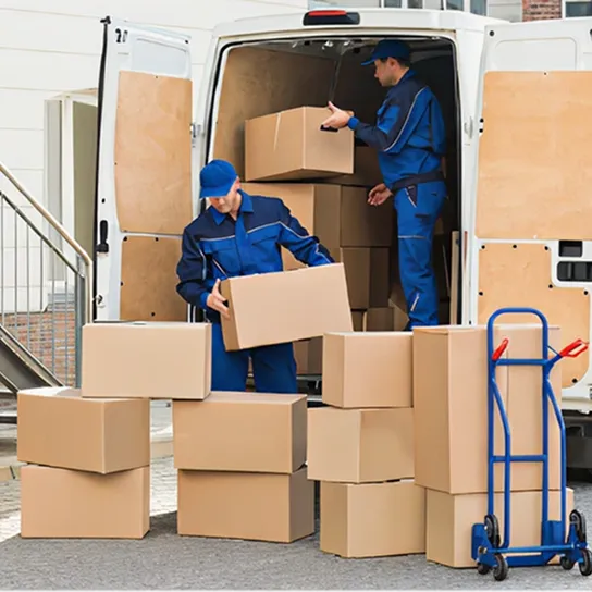 Delivery Step